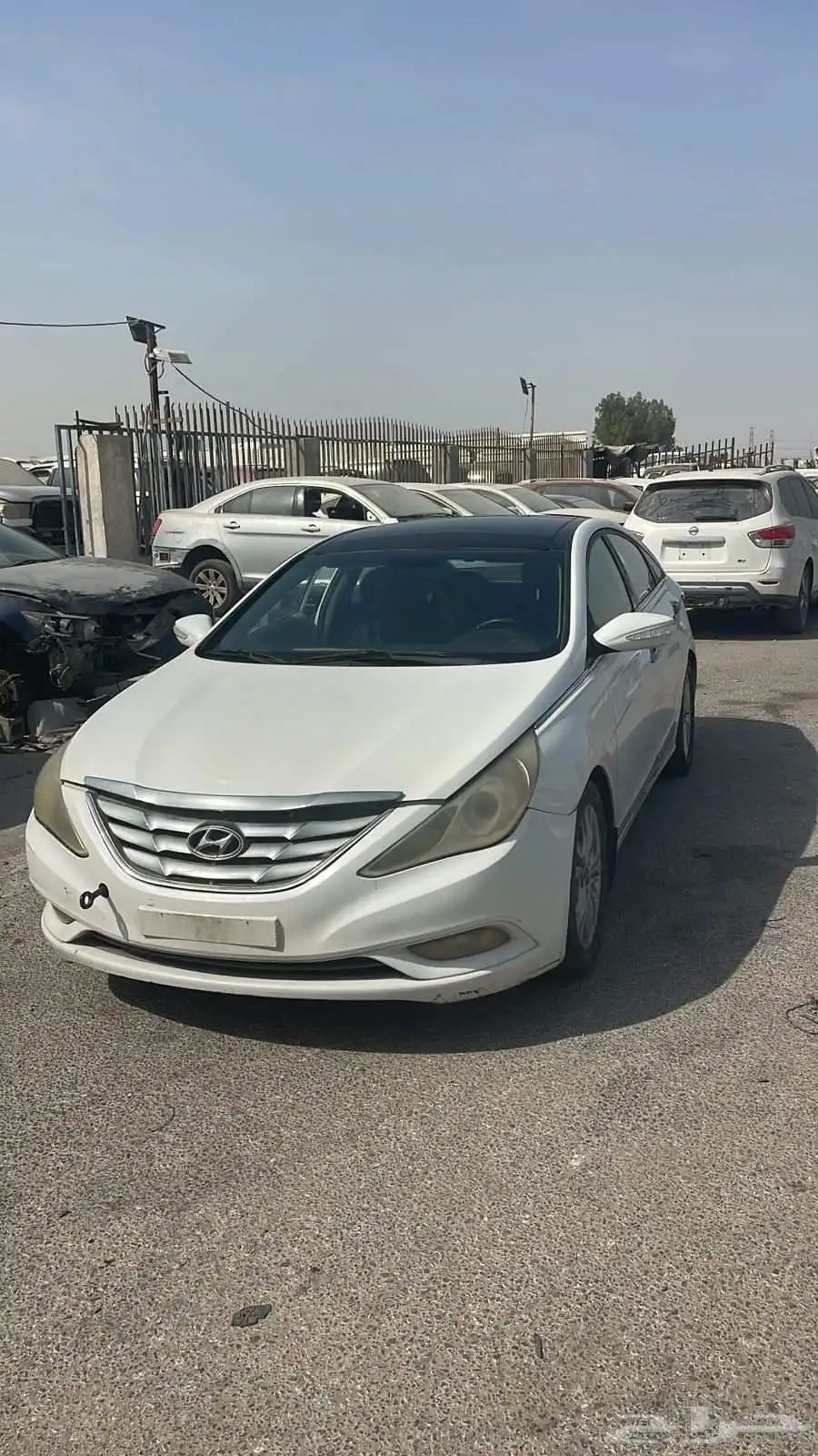 سوناتا 2012 1