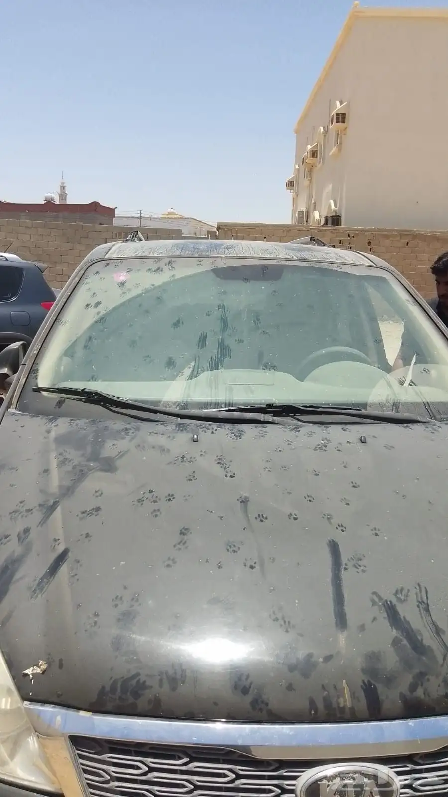جيب كيا 2010 3