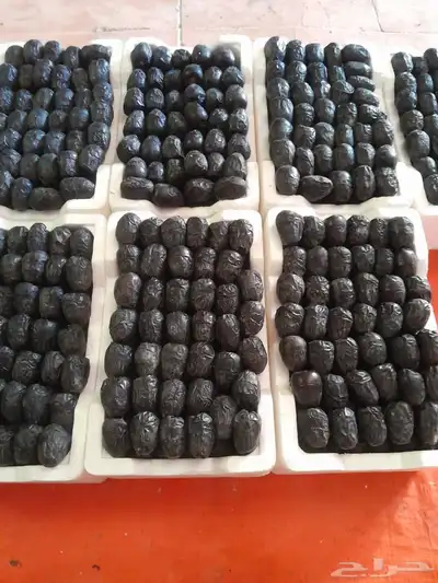 رطب روثانة وانواع فاخرة من رطب المدينة المنورة 2