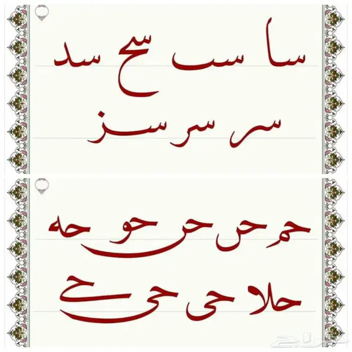 معلم ومدرب للخط العربي وتأسيس الصفوف الأولية. 3