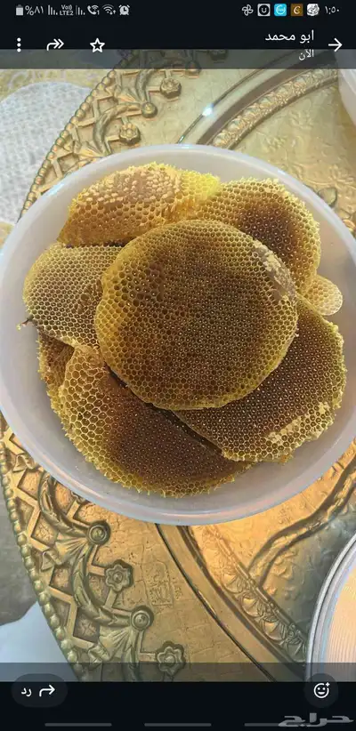 عسل طلح صحن واحد وزن 3 كيلو 2