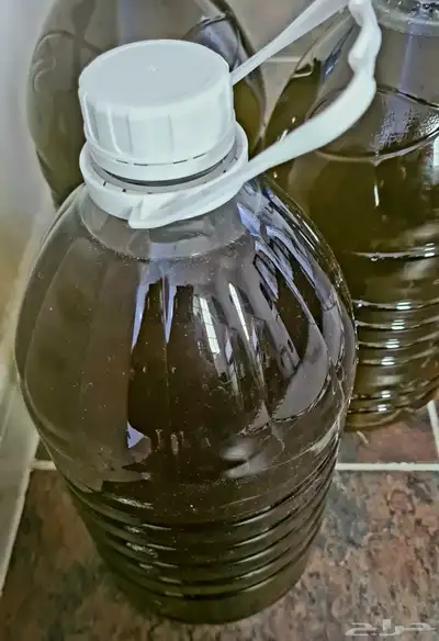 زيت زيتون سوري من أراضي إدلب الخضراء 1