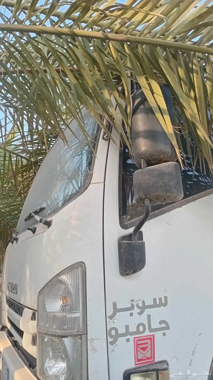 غمارة دينا تشليح 2