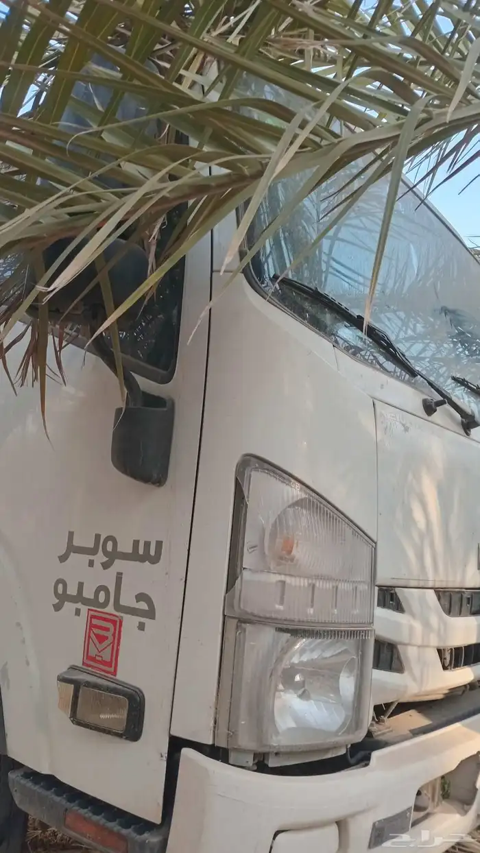 غمارة دينا تشليح 1