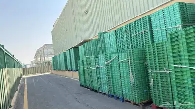 صناديق بلاستيك للزيتون 0