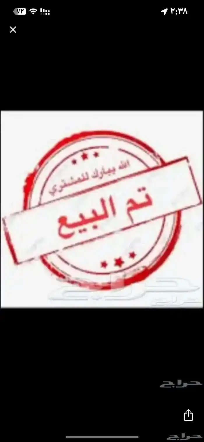 فرخ اكلكتوس انثى 0