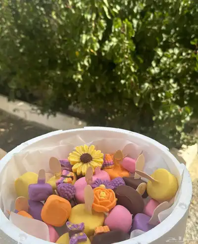 شوشتا سويت 1