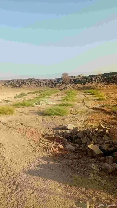 بيوت محمية للأجار او للبيع 9