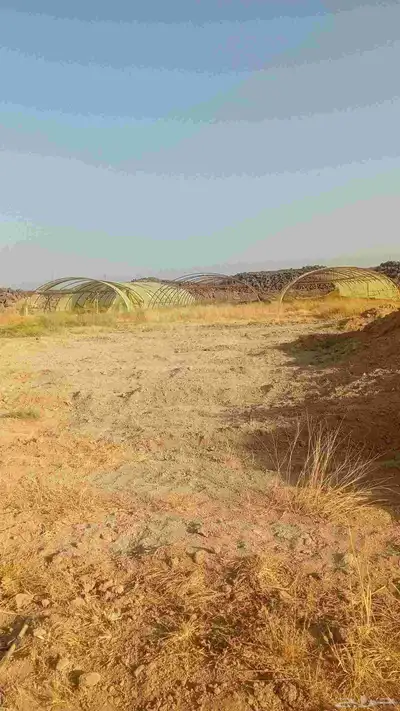 بيوت محمية للأجار او للبيع 8
