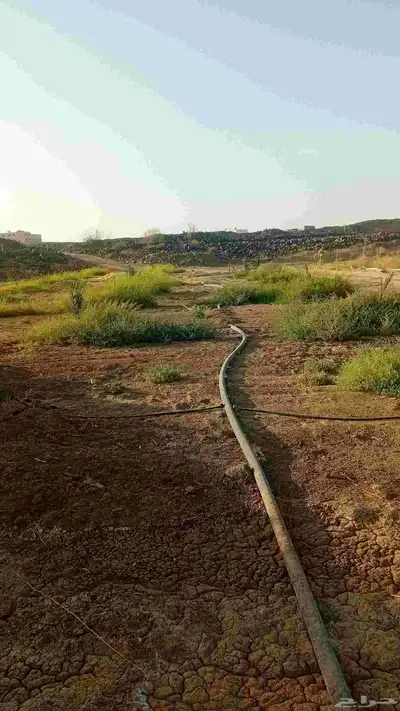 بيوت محمية للأجار او للبيع 0