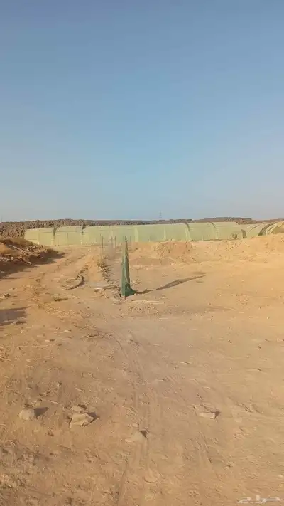 بيوت محمية للأجار او للبيع 13