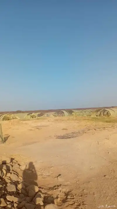 بيوت محمية للأجار او للبيع 10