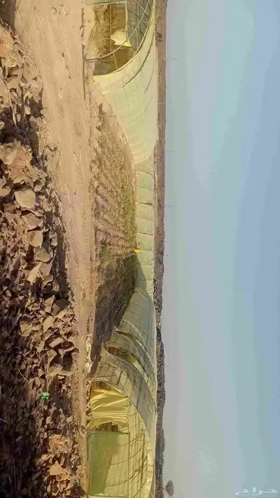 بيوت محمية للأجار او للبيع 2