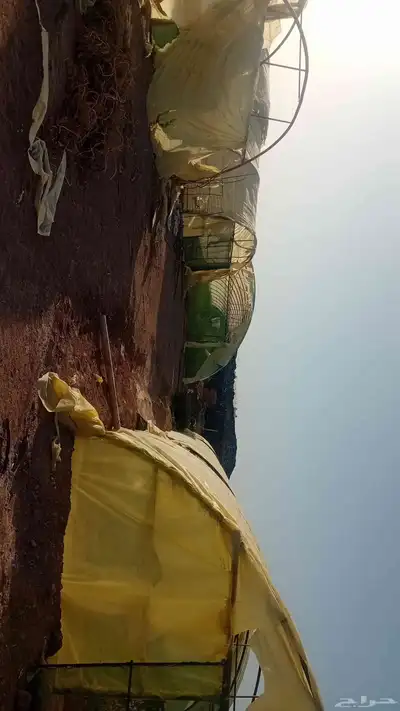 بيوت محمية للأجار او للبيع 3