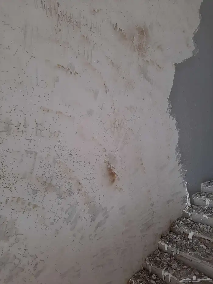 شغل البيت تحريق بويا داخلي خارجي عزل تكسير ترميمات 1