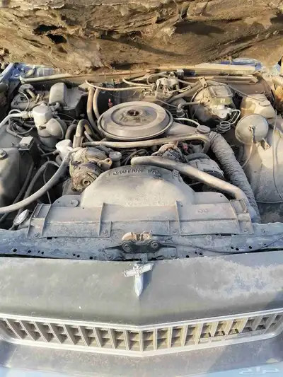 كابرس مسقط 6