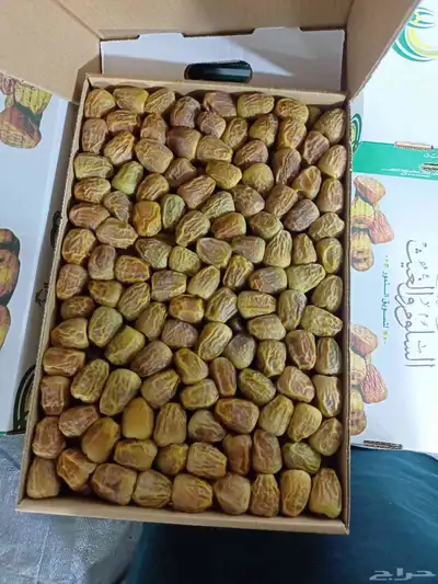 للبيع تمر س ري مفتل رطب جلي سي 2