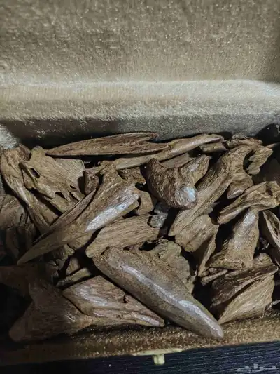 عود مقتنيات ماروكي فاخر طبيعي 3