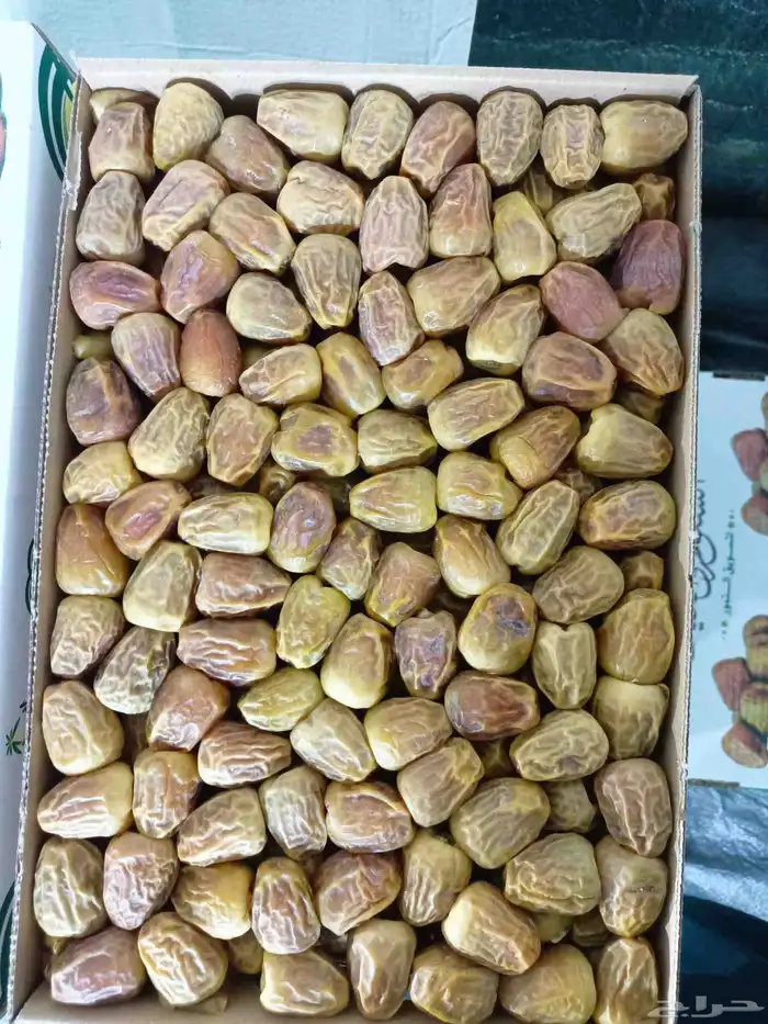 للبيع تمر س ري مفتل رطب جلي سي 1