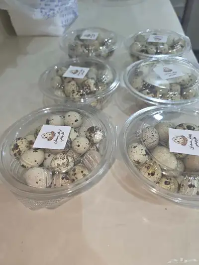 بيض سمان 1