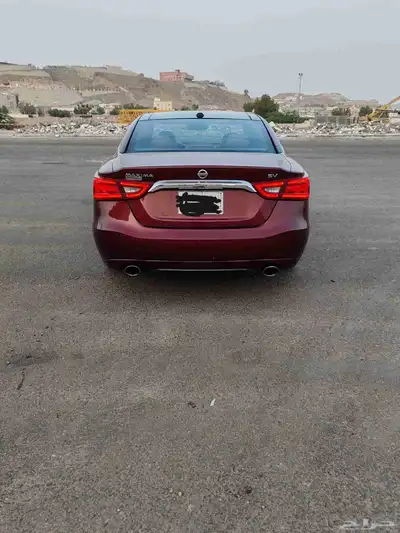 ماكسيما 2016 sv بانوراما نظيفة 1