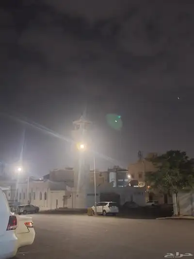 قطه صغيره ضايعه في حي الموظفين بالقرب من مسجد النور الفرضي 2