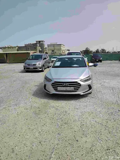 القطيف 5