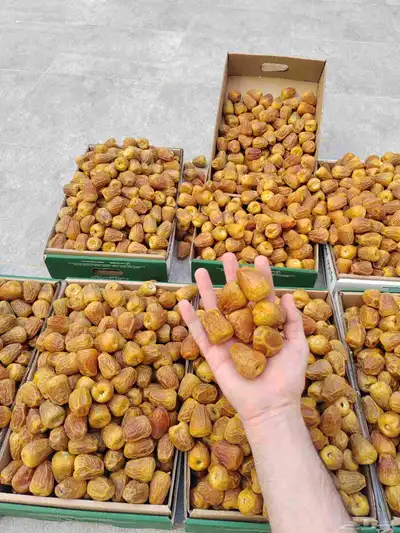 تمر سكري فاخر 0