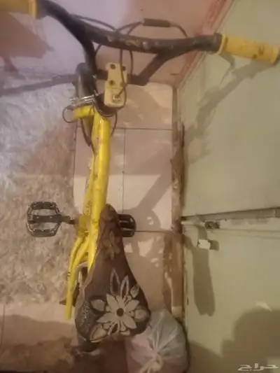 سيكل مقاس 12 1