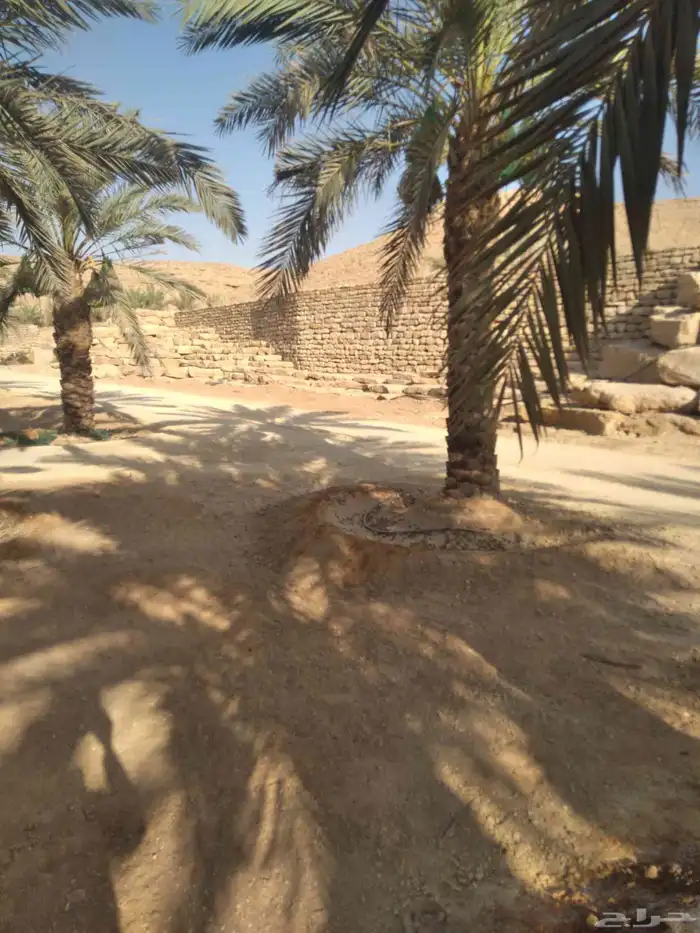 شبوك وحجر 15
