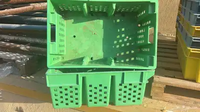 صناديق بلاستيك للزيتون 1