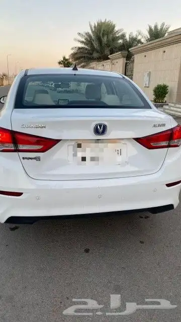 شانجان السفن نظيفة وكالة 2023 8