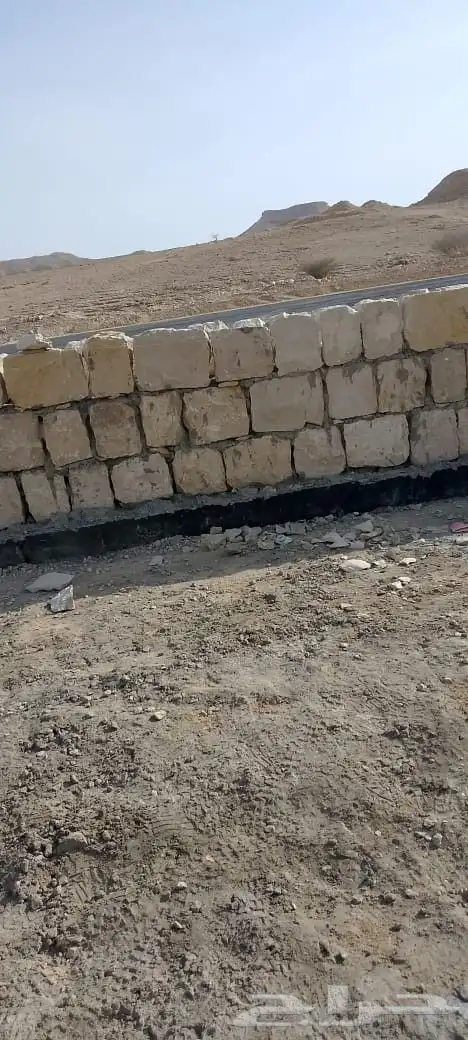 شبوك وحجر 14