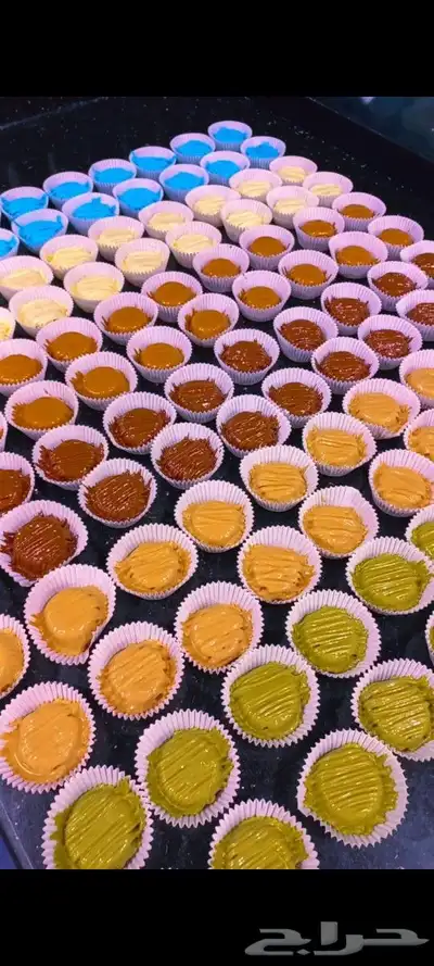 مطلوب ممول لمشروع مجرب 5