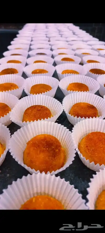 مطلوب ممول لمشروع مجرب 7