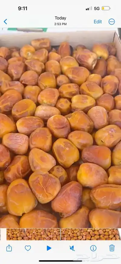 تمور تصدير 1