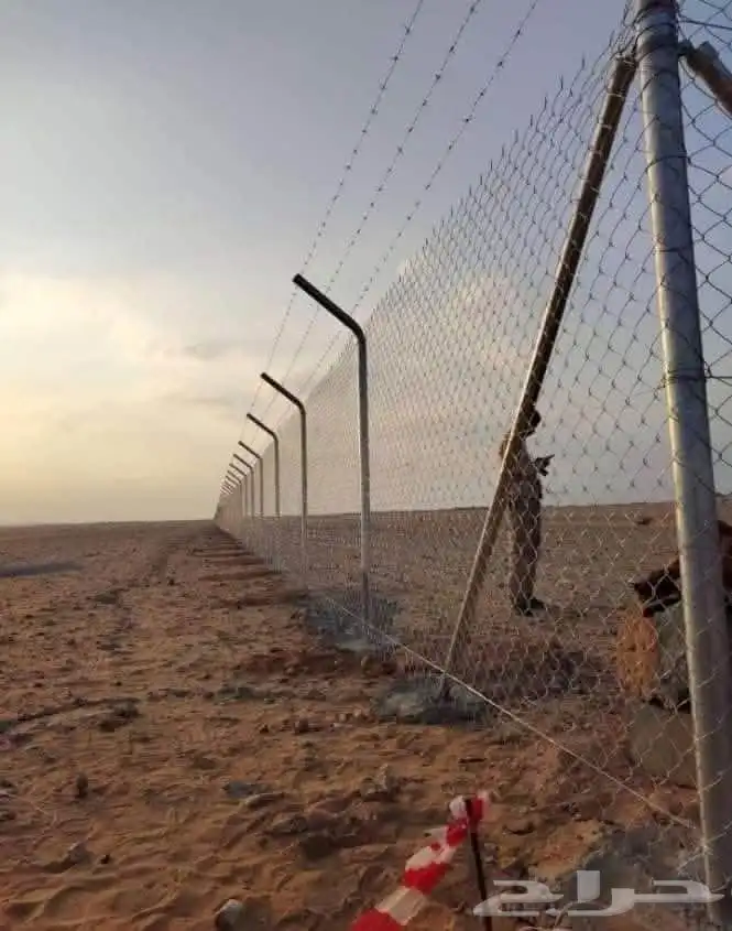 توريدوتركيب الشبوك 3