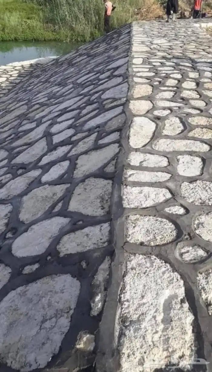 مقالات في سياج الامني 2