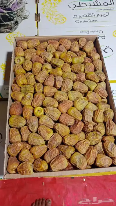 تمور تصدير 0