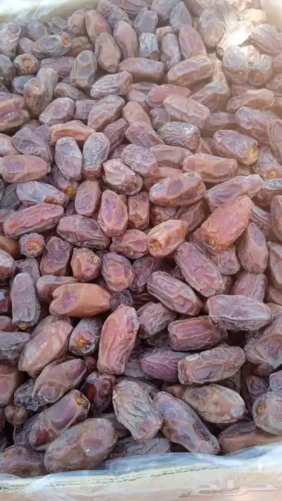 تمور تصدير 6