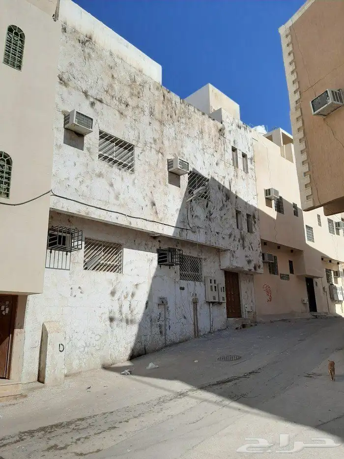 شغل البيت تحريق بويا داخلي خارجي عزل تكسير ترميمات 7