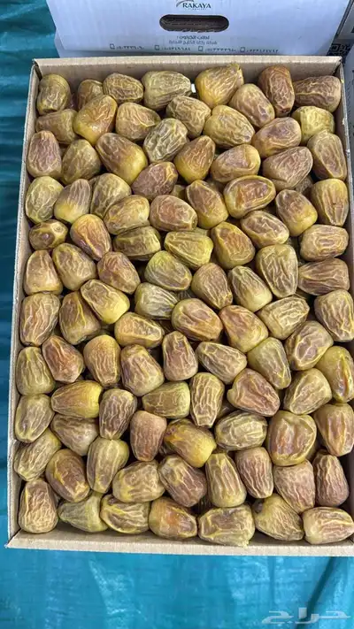 تمور تصدير 3