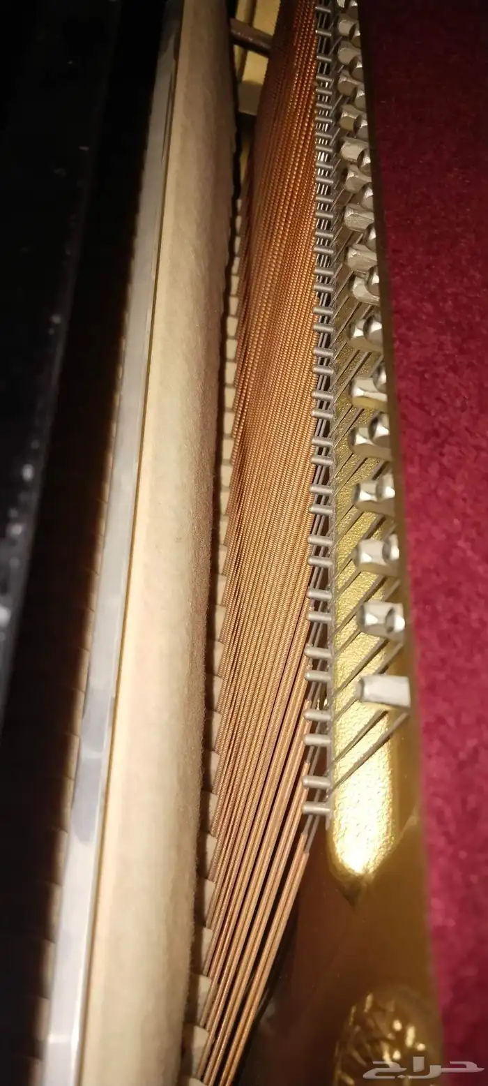 ياماها بيانو أب رايت JU-109 Pe Az W 5