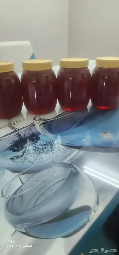 عسل سمرة عسل طلحة 1