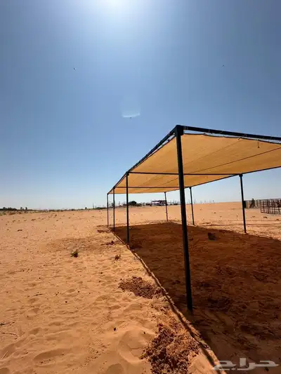 مضلات لبل متوفر جميع لمقاسات 1
