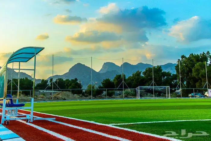 عشب ملاعب ضمان 7سنوات 6