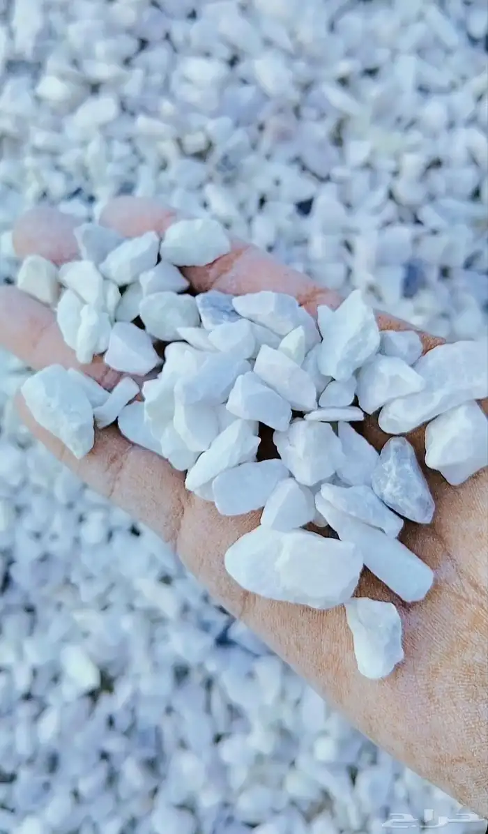 بحص ابيض صافي جده الحمدانيه ابحر الرحيلي 0