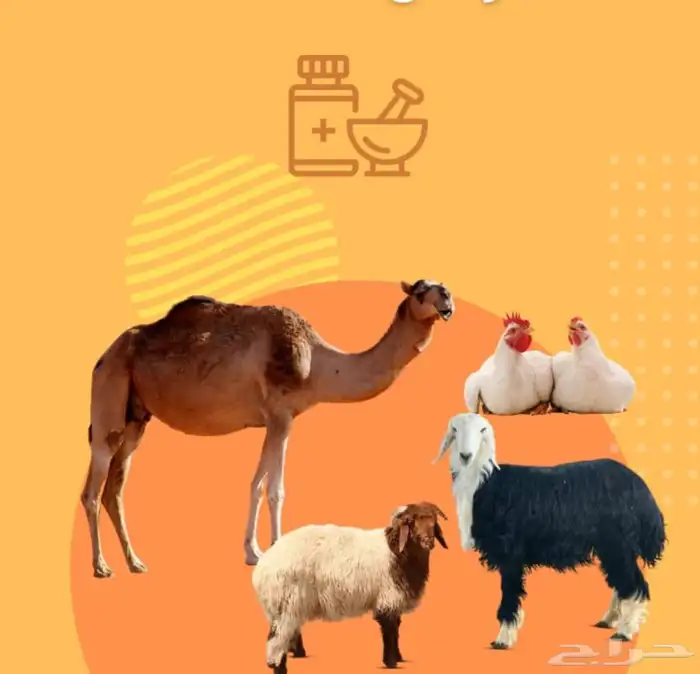 فرصة استثمارية (صيدليات بيطرية) 0