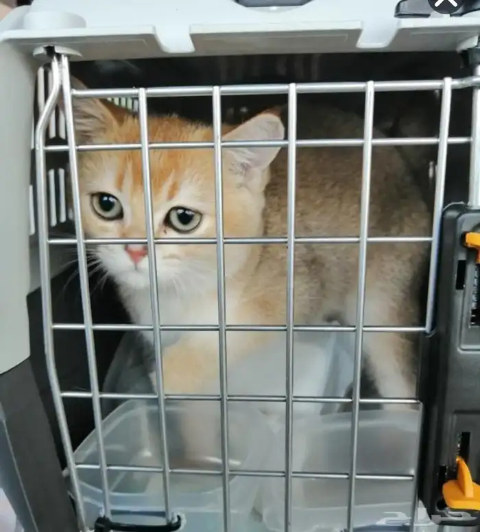 الشرقية_الرياض _المجمعة_القصيم _حايل_المدينه المنورة _والعكس 2