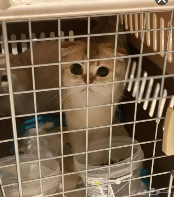 الشرقية_الرياض _المجمعة_القصيم _حايل_المدينه المنورة _والعكس 4